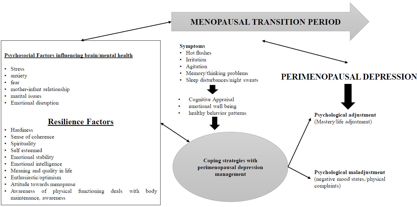 Development and validation of a new rating scale for perimenopausal  depression—the Meno-D